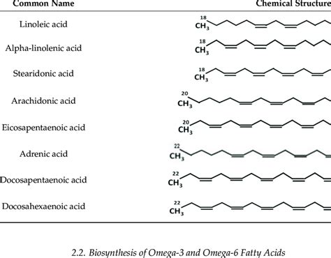 omega 6|omega 6 fatty acids name.